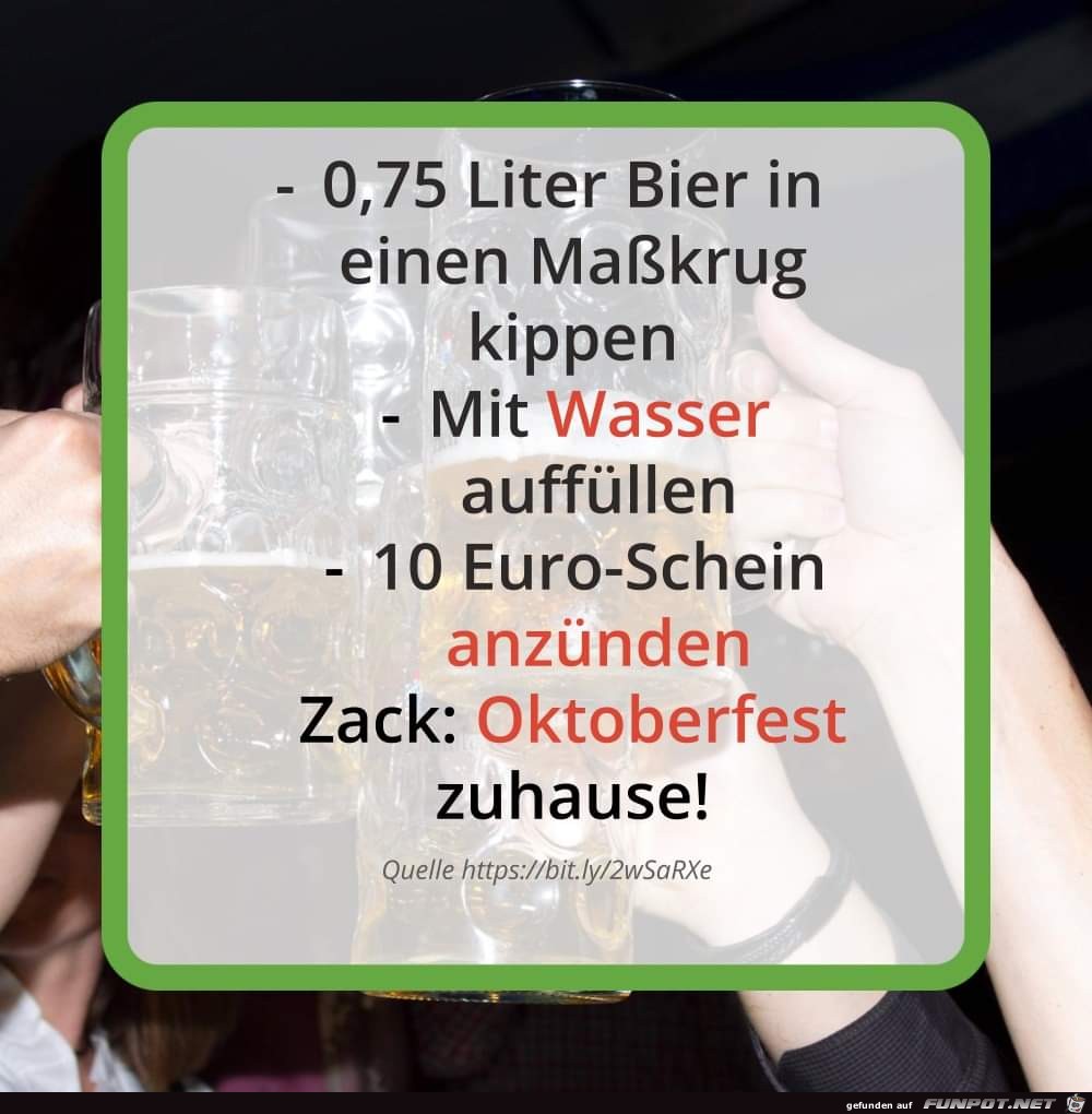 Fest Fest