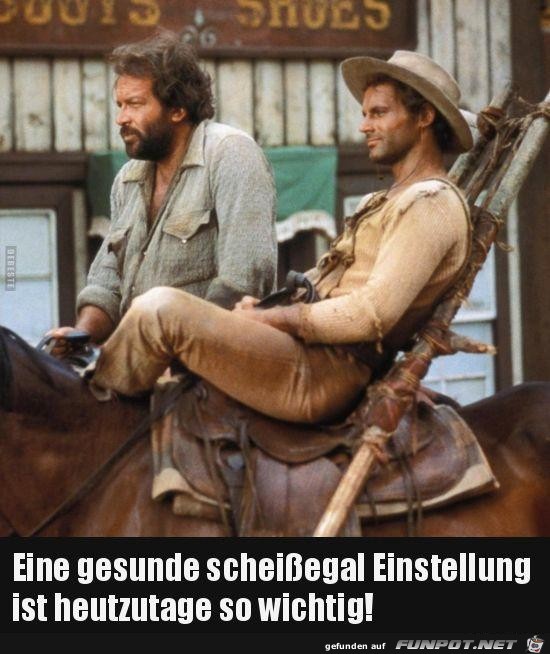 Die Einstellung