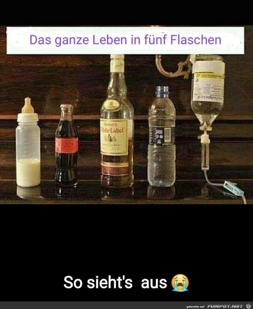 in 5 Flaschen