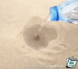 Sandschale formen Sandschale formen