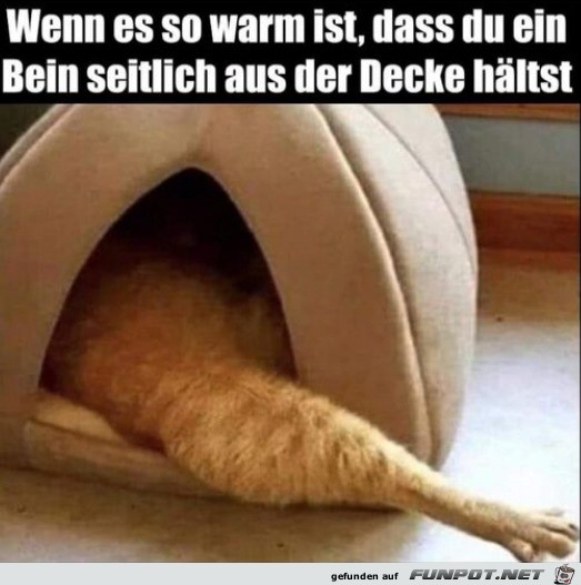 Es ist zu warm