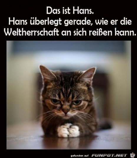 Das ist Hans