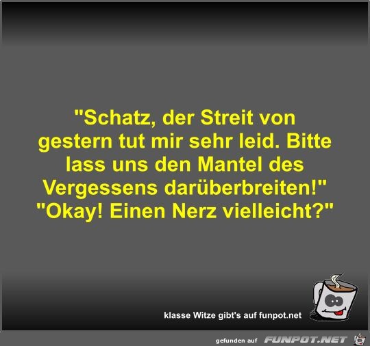 Schatz, der Streit von gestern tut mir sehr leid