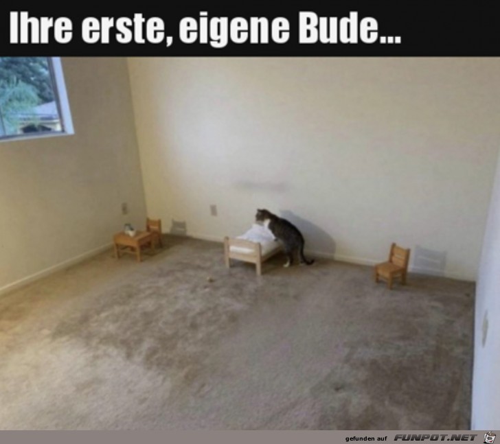 Eigene Bude