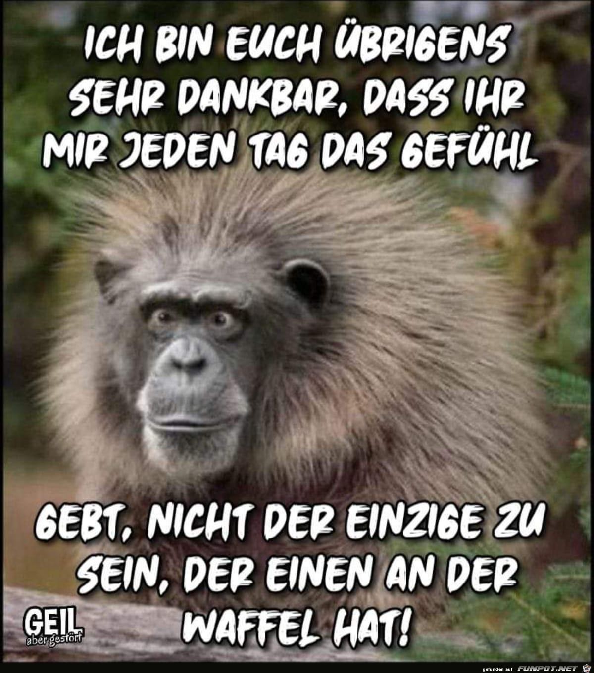 Ich bin brigens sehr dankbar......