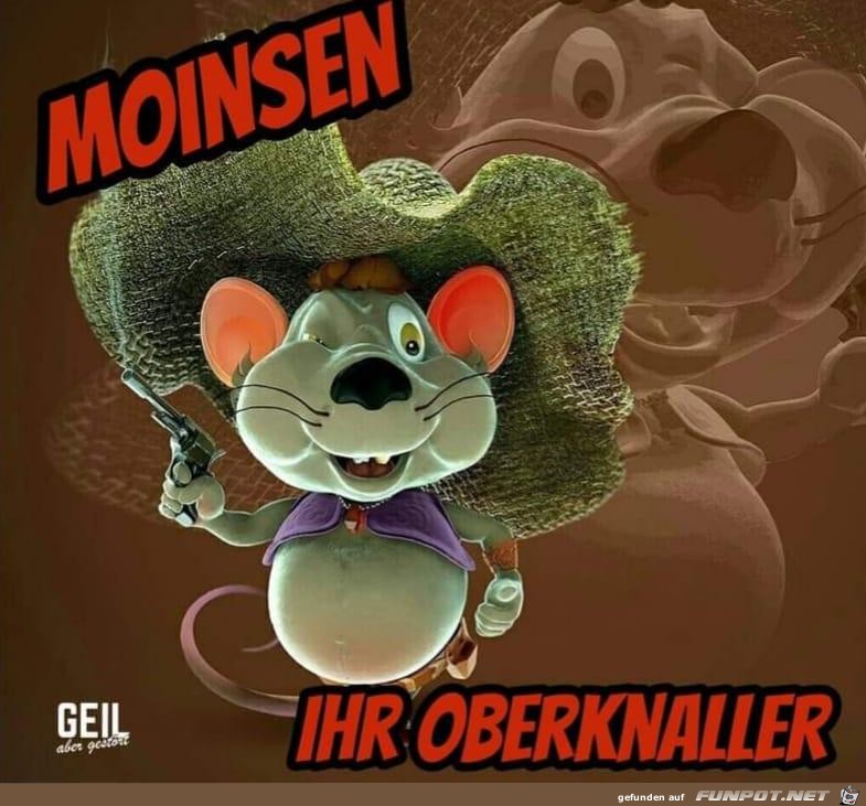 MOINSEN IHR OBERKNALLER