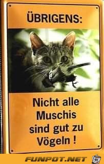 alle Muschis