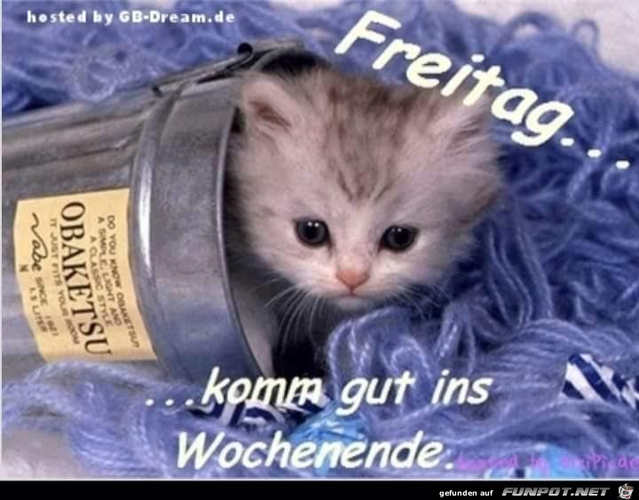 Freitag