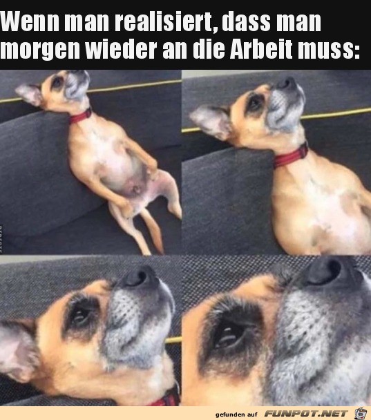 Morgen muss man wieder arbeiten