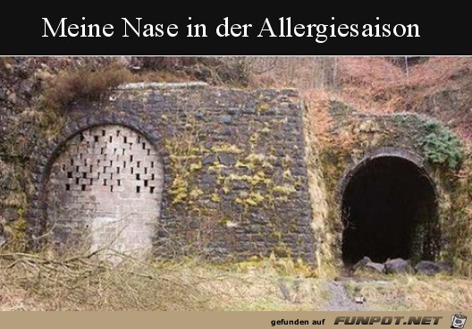Allergie-Nase