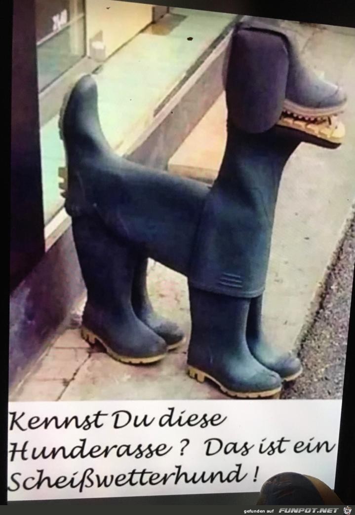 Neue Hundrasse Neue Hundrasse