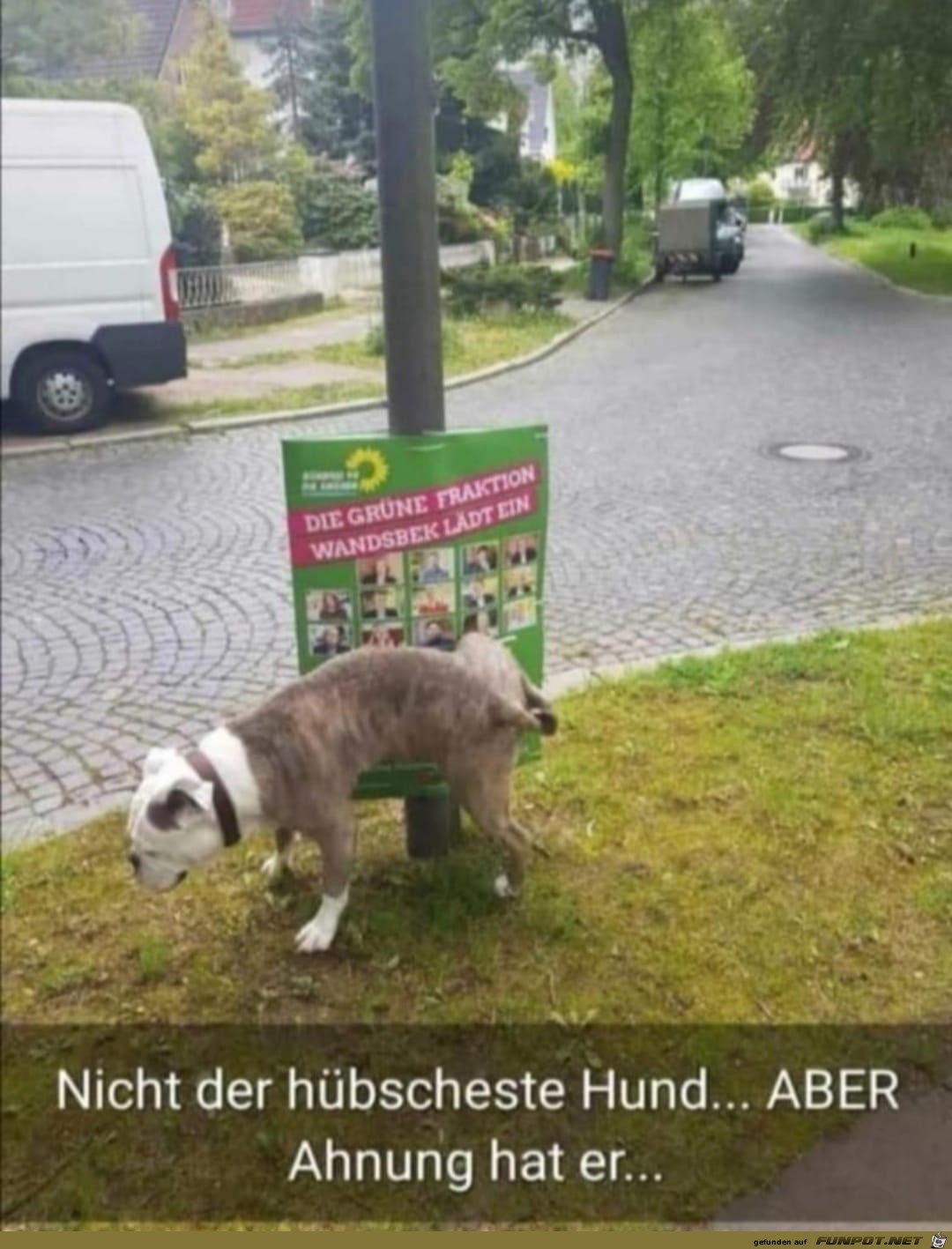 Der Hund schnallt es.