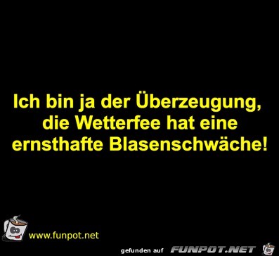 Die Wetterfee