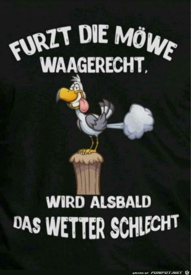Die Moewe Die Moewe