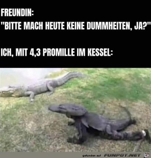 Keine Dummheiten machen