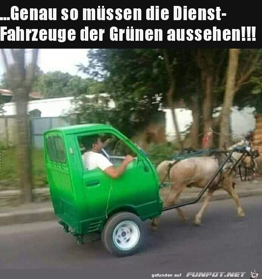 Dienstfahrzeuge der Grnen