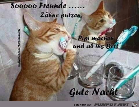 Soooo Freunde....