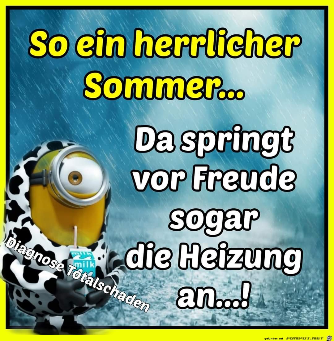 herrlicher Sommer