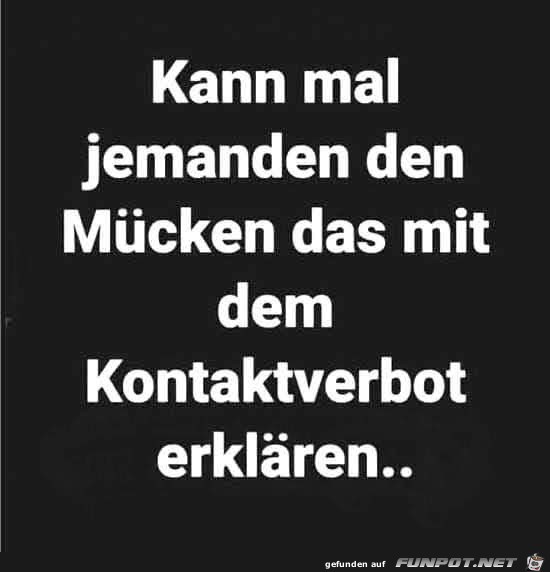 Kontaktverbot