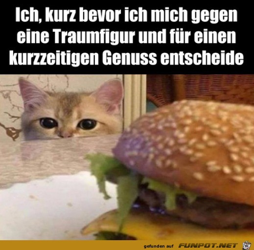 Katze will Burger haben