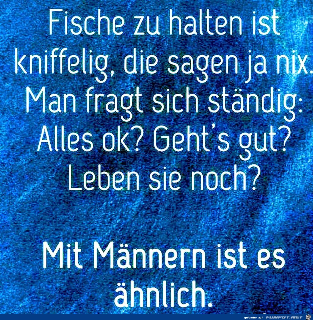 Mit Maennern