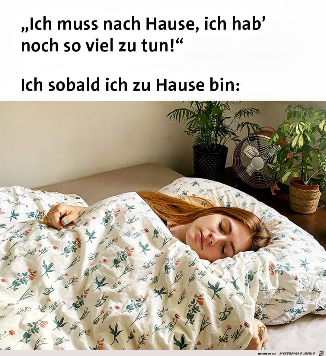 Ich habe viel zu tun