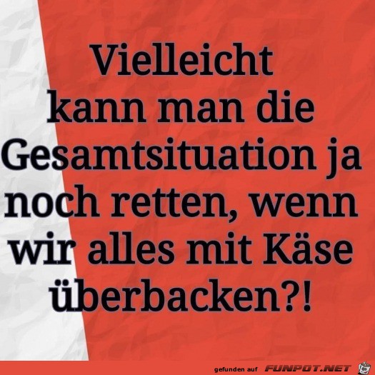 Einfach mal mit Käse überbacken Einfach mal mit Käse überbacken