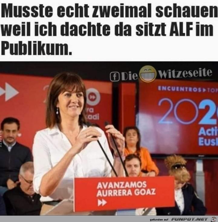 dachte da sitzt Alf