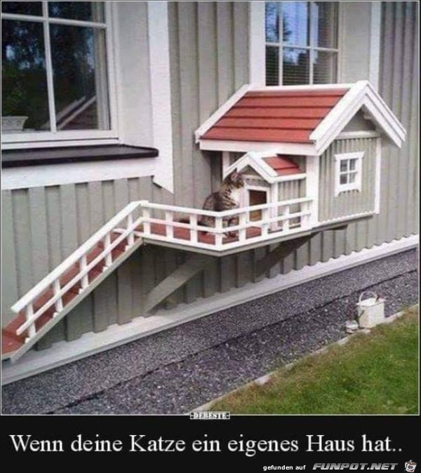 Wenn deine Katze ein eigenes Haus hat