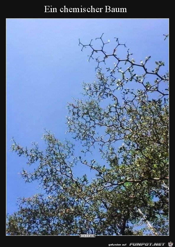 Ein chemischer Baum