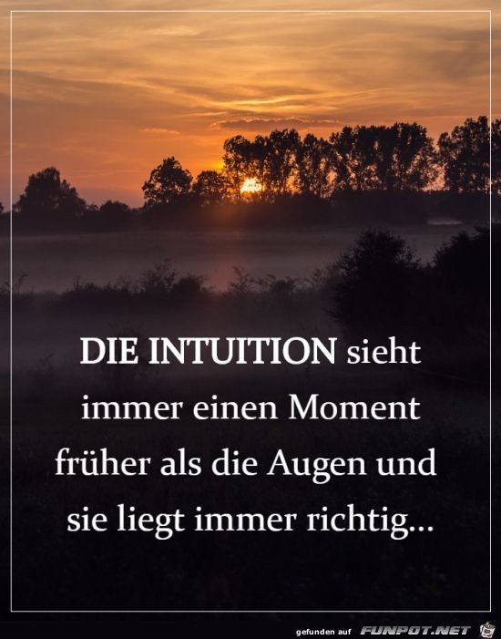 Die Intution