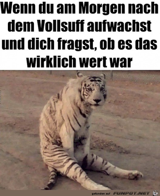 War es das wert?