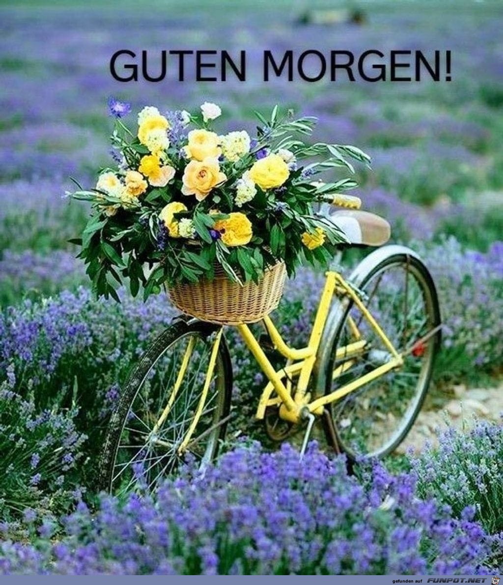 guten Morgen