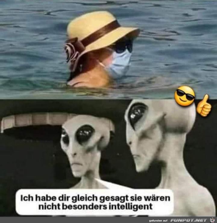 Ich hab es gesagt