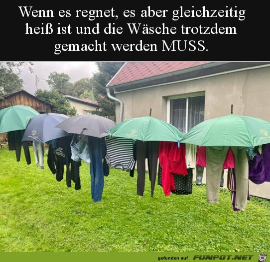 Lustige Idee mit den Schirmen