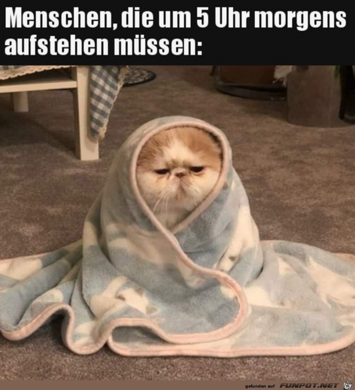 Frh morgens aufstehen