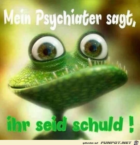 Ihr seid schuld !