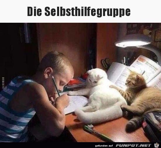 Die Selbsthilfegruppe