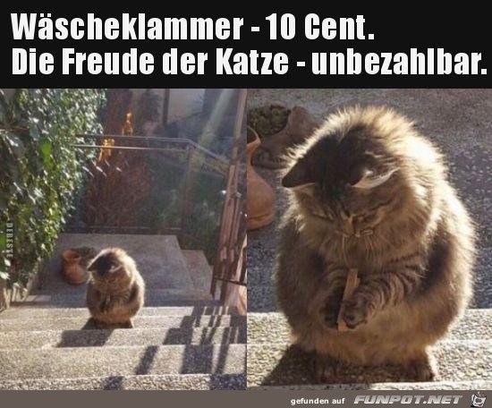 Die Freude einer Katze bei einer Wscheklammer