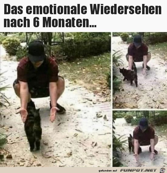 emotionales Wiedersehen