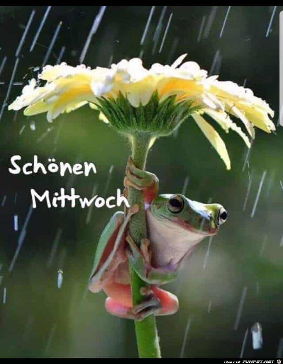 schnen Mittwoch