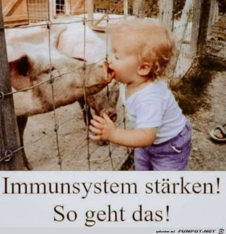 Das Immunsystem strken