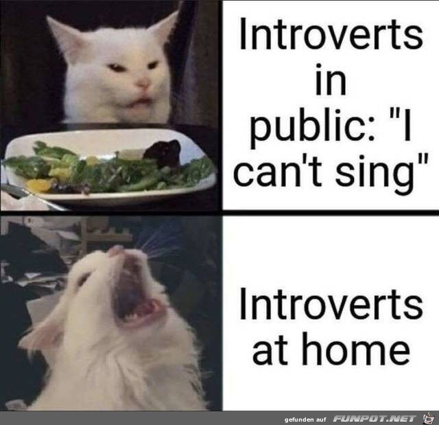 Die Introvertierten