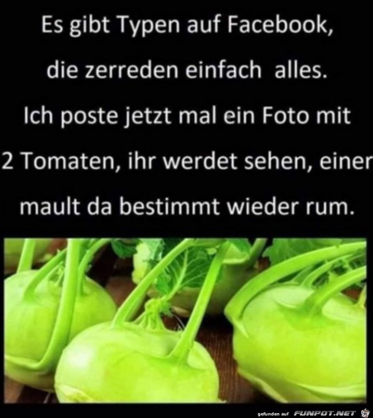 Einer meckert sicher rum