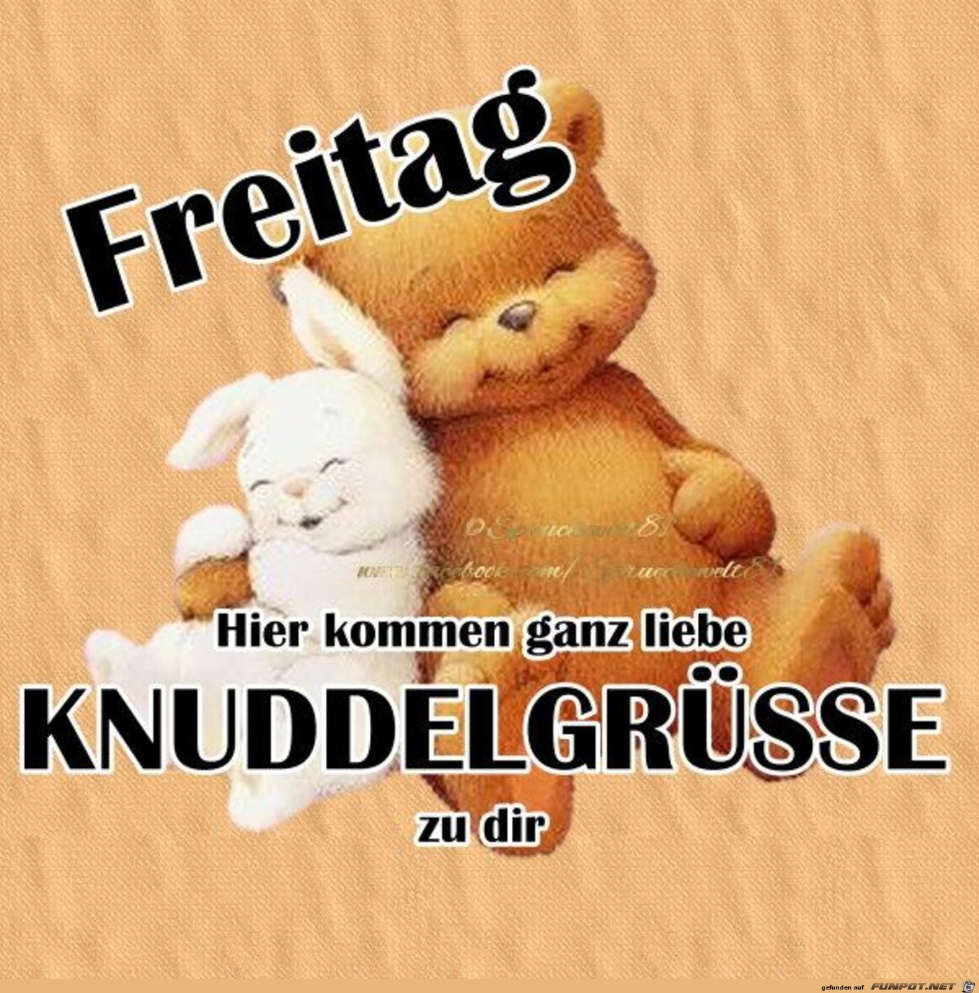 Knuddelgruesse