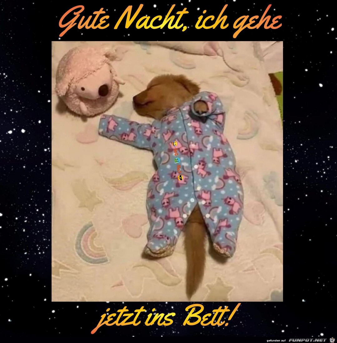 Gute Nacht