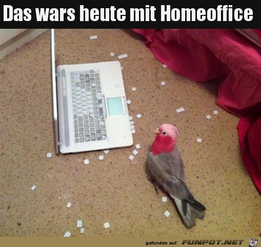 Kein Home Office heute