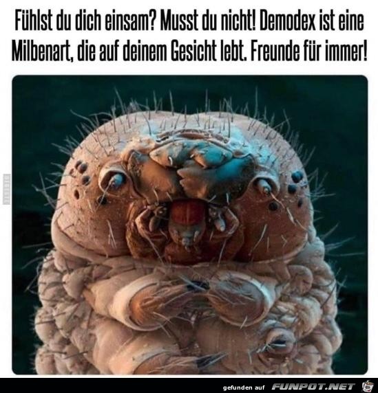 Fhlst du dich einsam ?