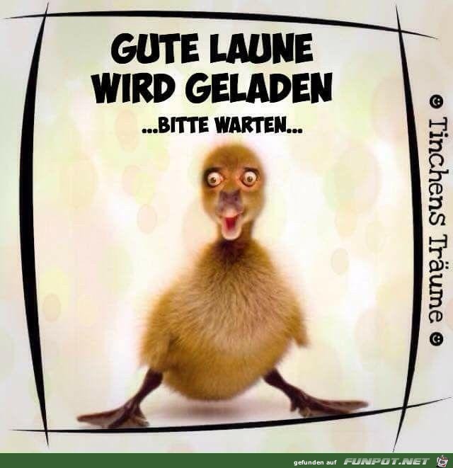 Gute Laune wird geladen