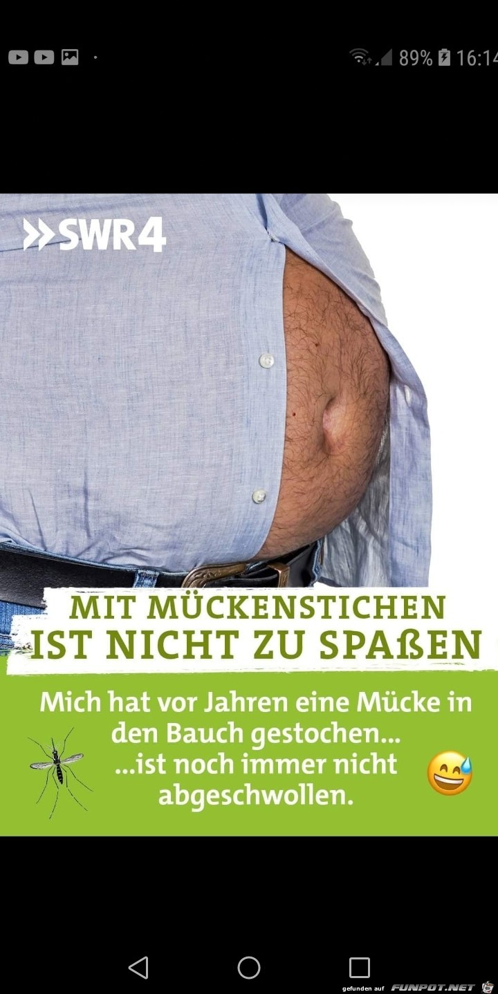 Mueckenstiche